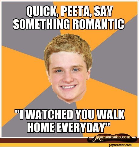 funny-pictures-the-hunger-games-auto-414722.jpeg